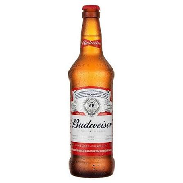 CERVEJA BUDWEISER 330ML