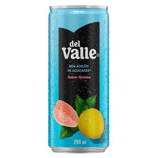 SUCO DEL VALLE GOIABA 290ML