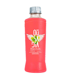 BEB. OUSADIA MELANCIA 350ML